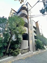デュコムワイズ