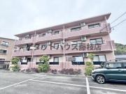 アイリス