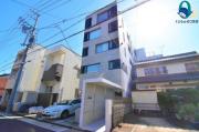 COZY菊井