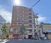 GATO D.M 北山