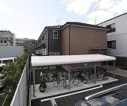 Sunlit朱雀