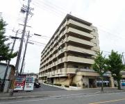 シャンポール蜂の壷