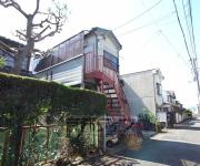CASA Petit Sugar