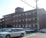 Court flats TANABE1号棟