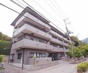 緑の森