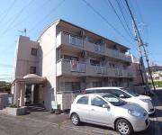 ドリーム・タナカ