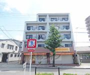 レイ紫野