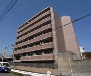 TIMUR九条