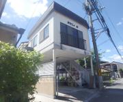 タウニィ杉