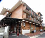 THE VINTAGE IWAKURA