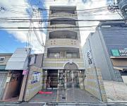 Will Shijo