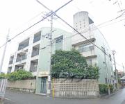 ブルーベル