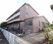 リュウライフ中川