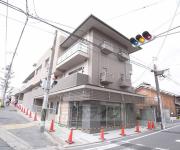 アムールさの