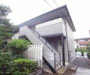 ヴィヴァーチェ杉