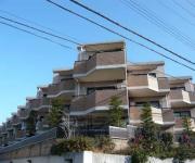 Gran Pino伏見桃山