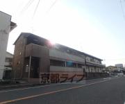クリサンスコート