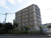 NOVAPORT