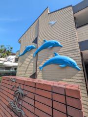 カリフォルニアドリーム