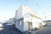 HIYODORI