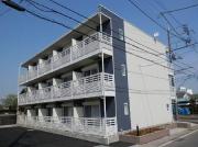 レオネクストさざんか