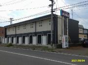 レオネクスト桜