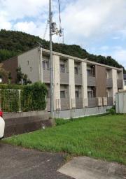 クレイノフィセント ファルコン