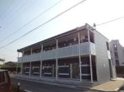 レオネクストプリーモ B