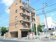 サンノーブル柏一番館
