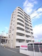 クオリア花立