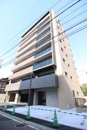 Risone T 箱崎