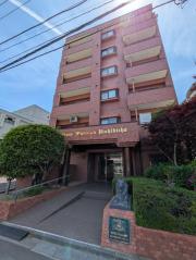 ライオンズマンション錦町