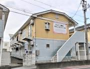 パレスサザンクロスIB棟