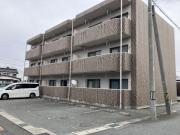 サザンメトロ 233