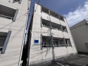 flat福井