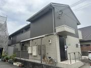 tentree新在家