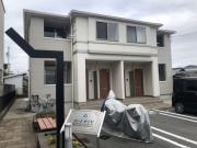 コートダイヤ