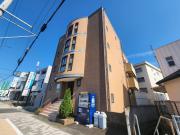 ペルル学園通り
