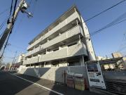 continent花影I