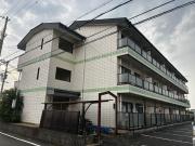ロフティ津市場
