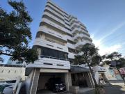 シャトラン白鷺II