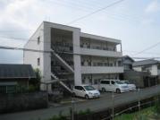 メトレス福田III