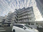 テルツォ南新在家