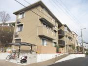 pastoral court senri