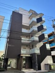 Cleyera ROKA
