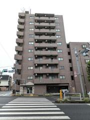 エスコート代田橋