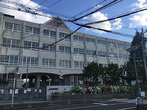 堺市立上野芝小学校まで251m