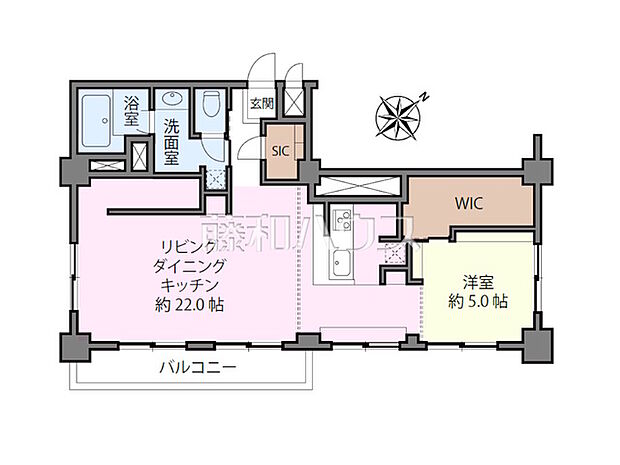 吉祥寺エコーハイツ(1LDK) 10階/10階の間取り図