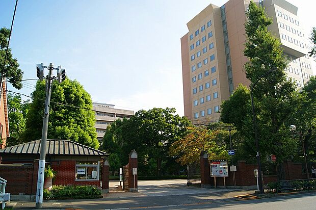 【大学】日本女子大学通信教育課程まで116ｍ
