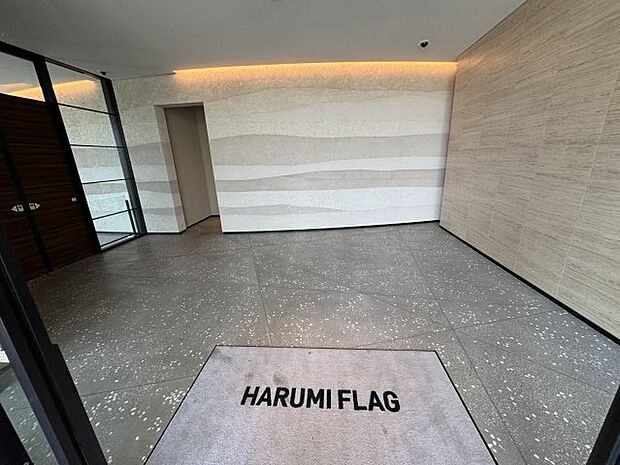 HARUMI　FLAG　PARK　VILLAGE　F棟(3LDK) 6階のその他画像